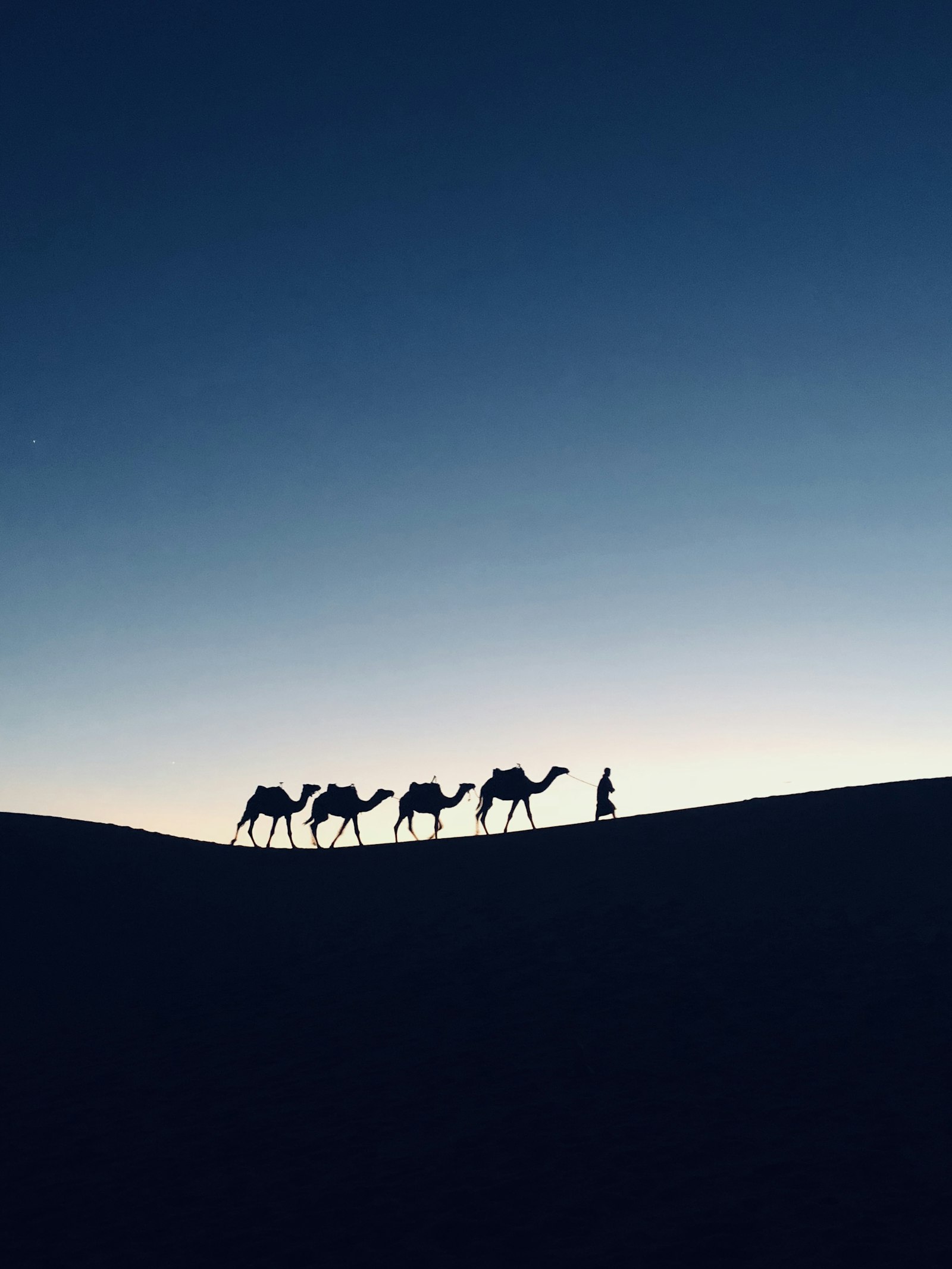 Family riding camels across red sand dunes at sunset near Dubai