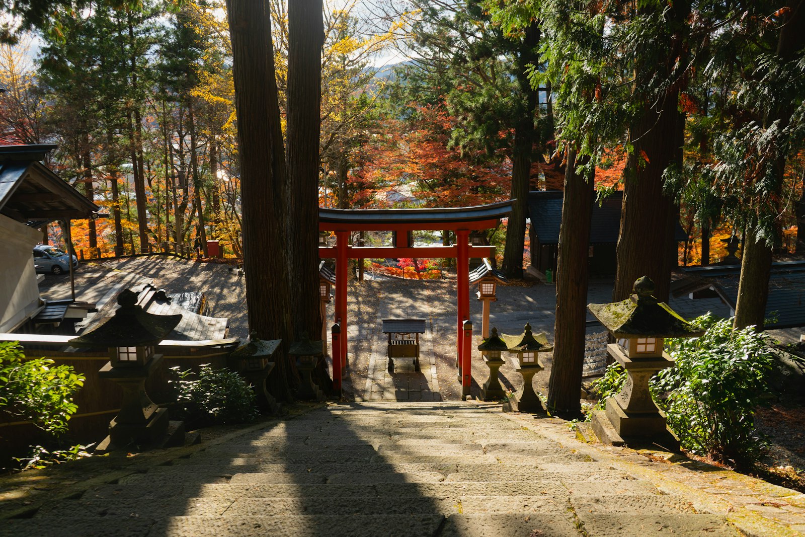Couple walking beneath the orange torii gate tunnel at Fushimi Inari Taisha