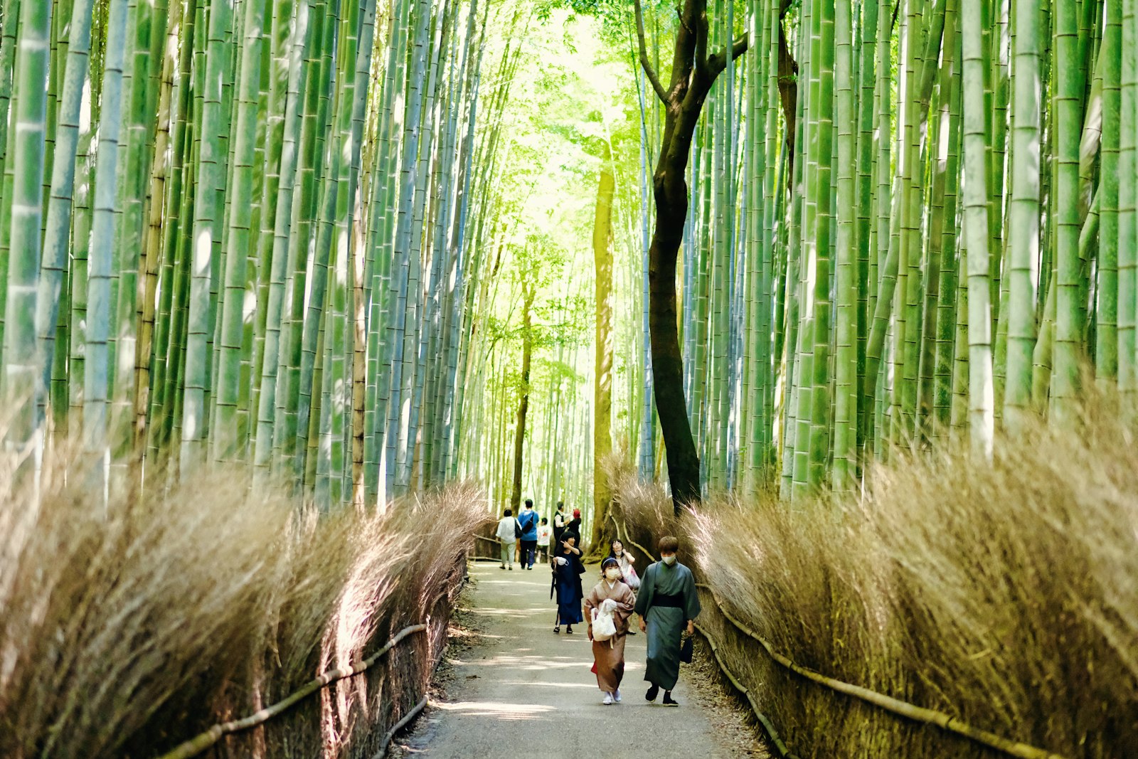 Couple walking hand in hand through the Arashiyama Bamboo Grove