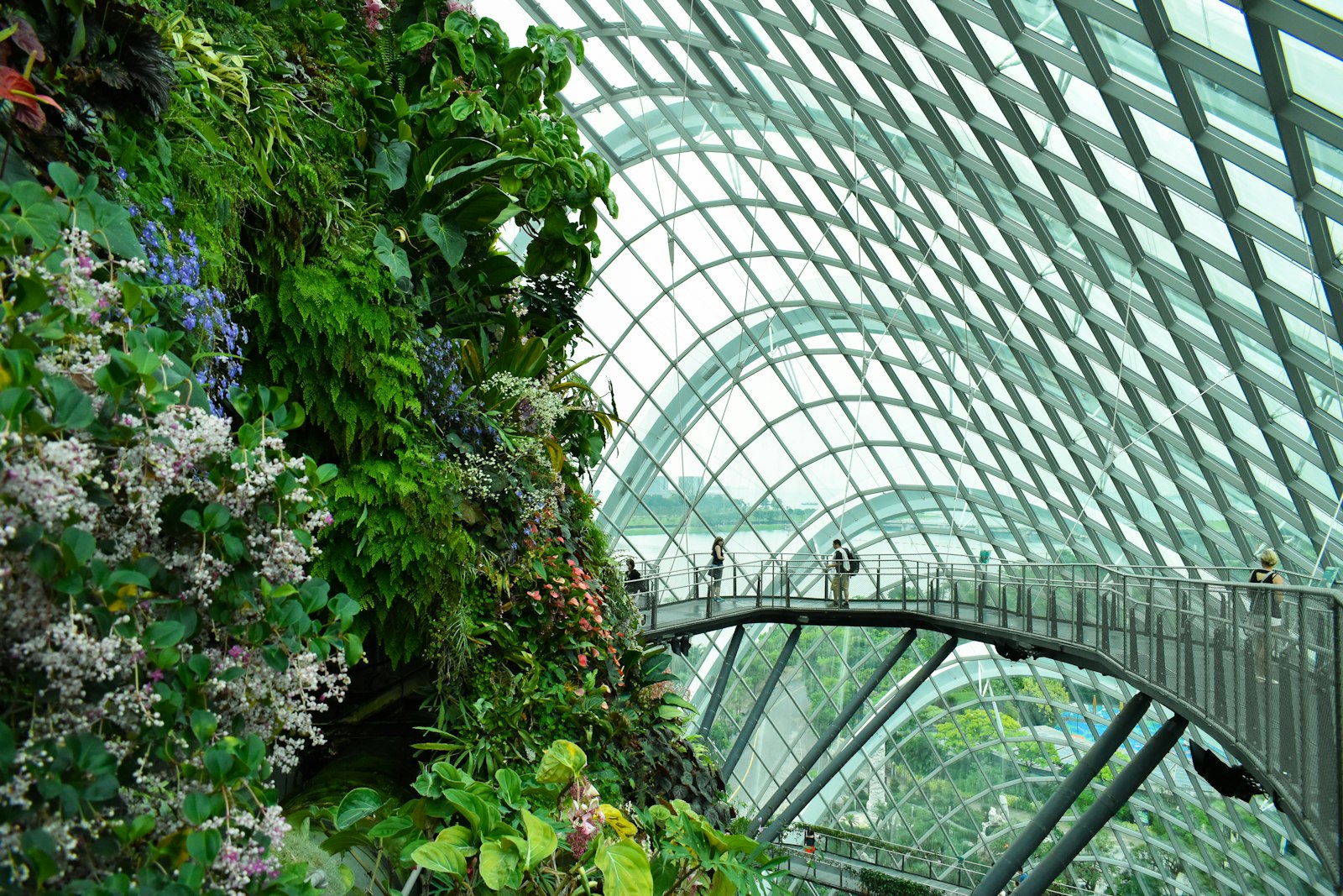 Family walking through the glass-domed Cloud Forest at Gardens by the Bay